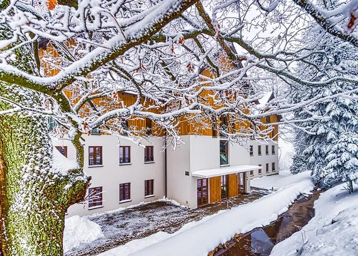 D19 Z Basenem, Sauna, Jacuzzi Park - 5d Szklarska Poręba